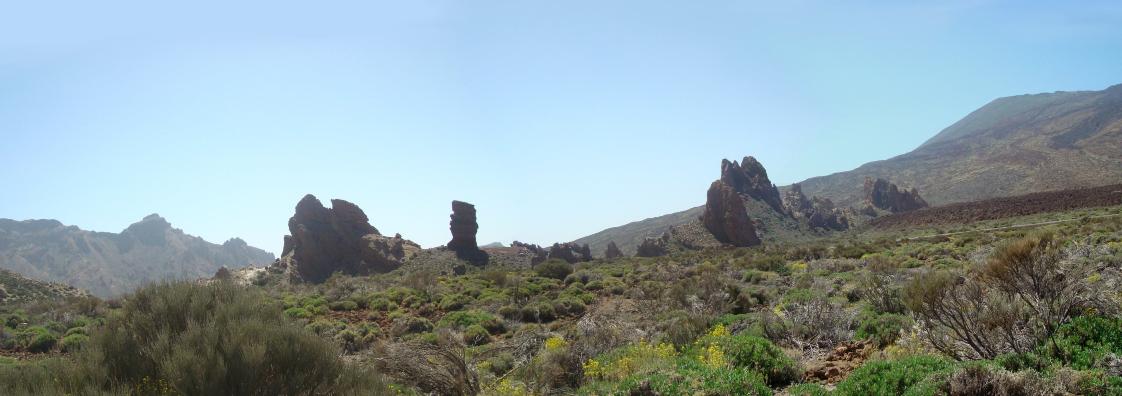 Roques de García