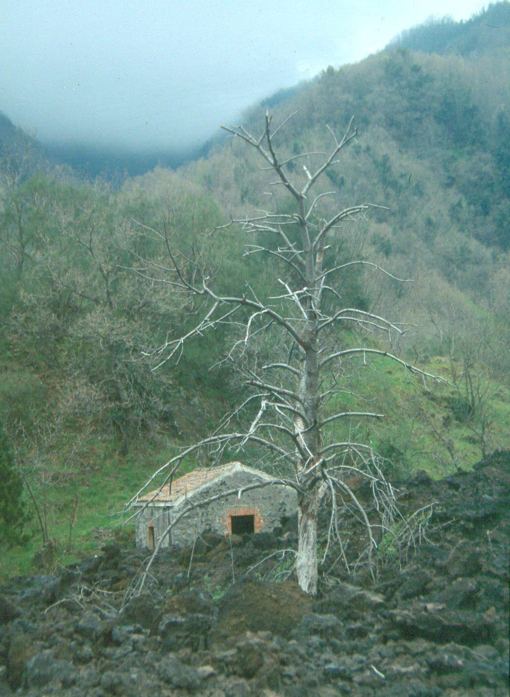 1992. Cultivos y casas aisladas quedaron destruidos Piano dell'Acqua