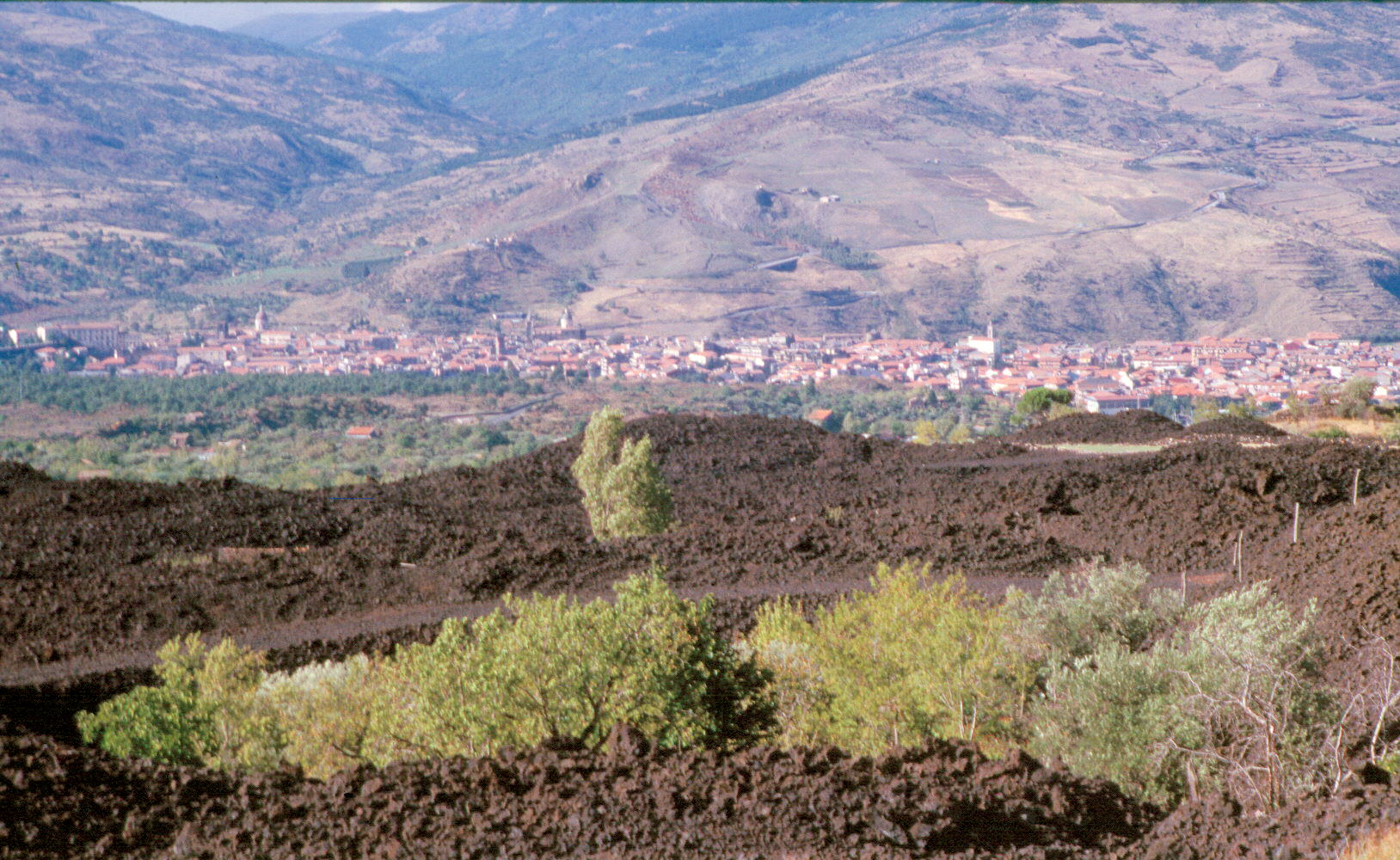 Randazzo y Montelaguardia amenazada por las coladas de la erupción de 1981