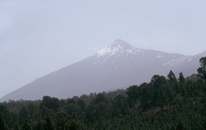 Teide desde el volcán Chinyero